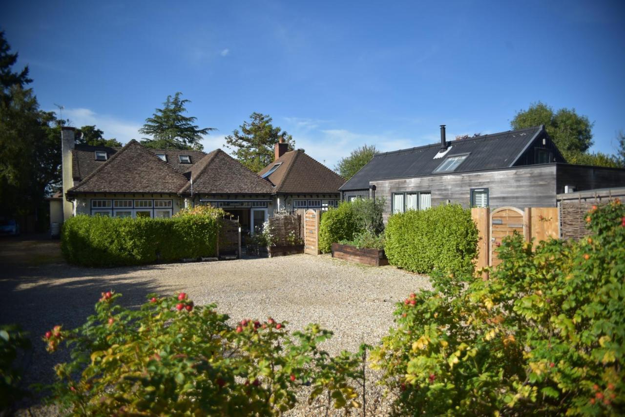 Daisybank Cottage Boutique Bed And Breakfast Brockenhurst Eksteriør billede